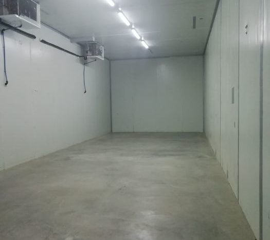 Sale - Freezer warehouse, 600 sq.m., Oparipsy
