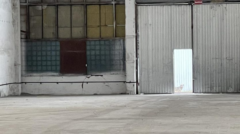 Rent - Dry warehouse, 3200 sq.m., Odessa - 6