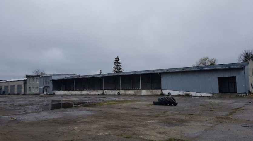 Rent - Dry warehouse, 1216 sq.m., Stryi