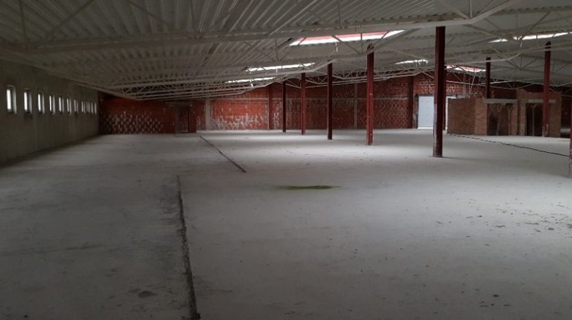 Sale - Dry warehouse, 4453 sq.m., Dolina - 11