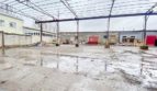 Rent - Land plot, 800 sq.m., Nikolaev - 2