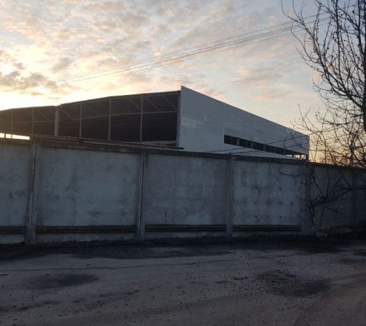 Sale - Refrigerated warehouse, 2800 sq.m., Gostomel - 8