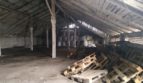 Sale - Dry warehouse, 1988 sq.m., Turinka - 9