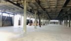 Rent - Dry warehouse, 3600 sq.m., Rivne - 4