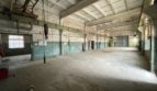 Rent - Dry warehouse, 512 sq.m., Odessa - 2
