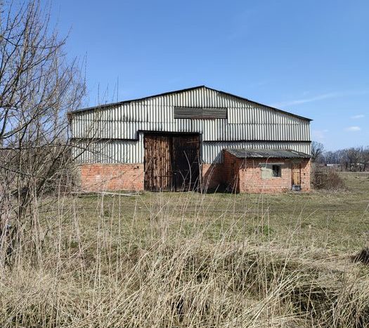 Sale - Dry warehouse, 1000 sq.m., Zrub-Komarovsky - 2