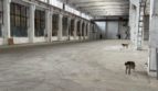 Rent - Dry warehouse, 3260 sq.m., Odesa city - 1