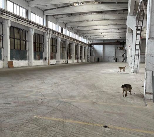 Rent - Dry warehouse, 3260 sq.m., Odesa city