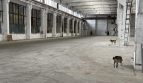 Rent - Dry warehouse, 3200 sq.m., Odessa - 8
