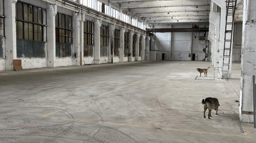 Rent - Dry warehouse, 3200 sq.m., Odessa - 8