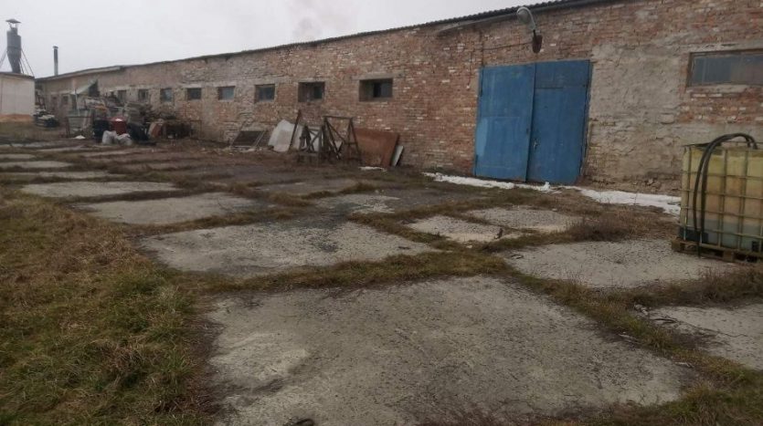 Rent - Dry warehouse, 800 sq.m., Gorbovichi - 4