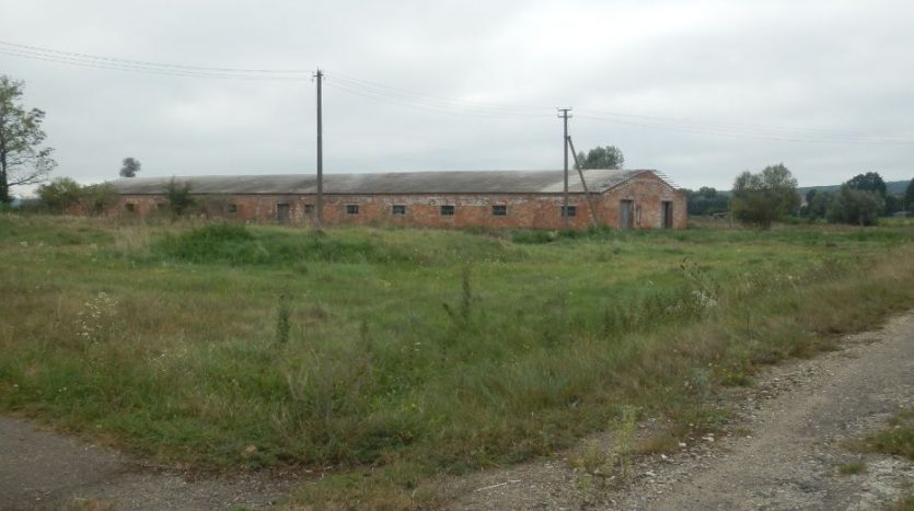 Sale - Dry warehouse, 1600 sq.m., Ropcha