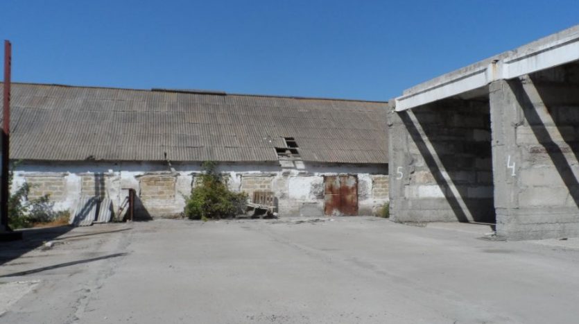 Sale - Dry warehouse, 2446 sq.m., Nadezhdovka - 5