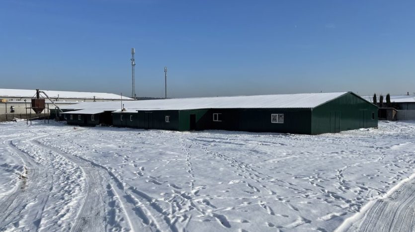 Rent - Dry warehouse, 1700 sq.m., Gorenka - 5