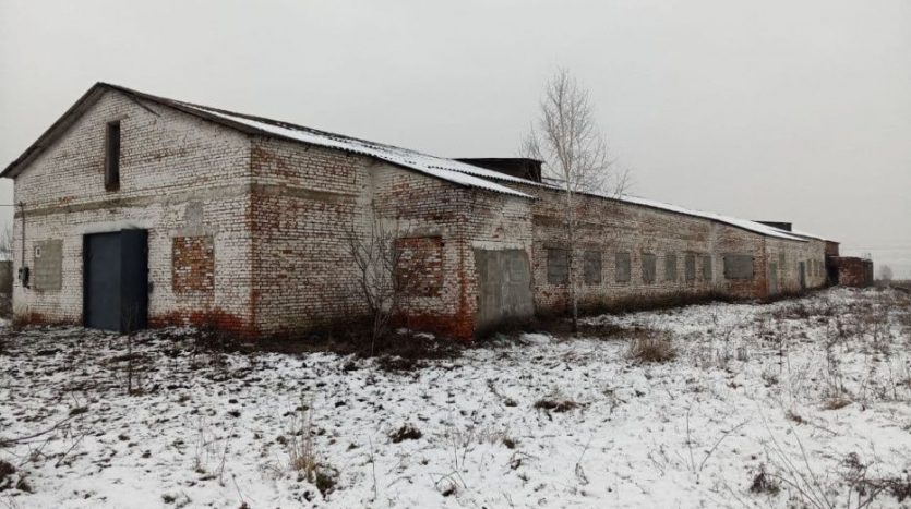 Sale - Dry warehouse, 1500 sq.m., Novovolynsk - 7