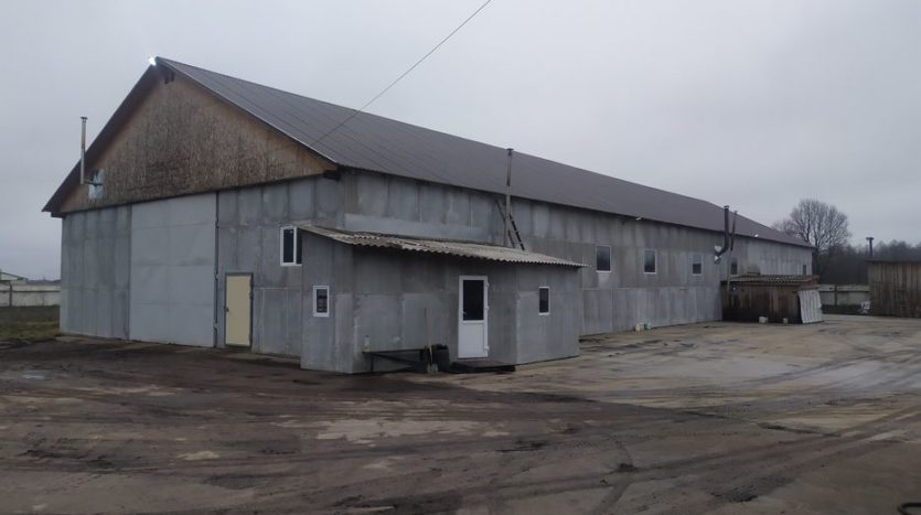 Sale - Warm warehouse, 615 sq.m., Kamenka