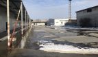 Rent - Dry warehouse, 3640 sq.m., Illichivka - 4