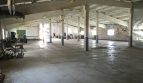 Rent - Warm warehouse, 1600 sq.m., Tysovets - 19