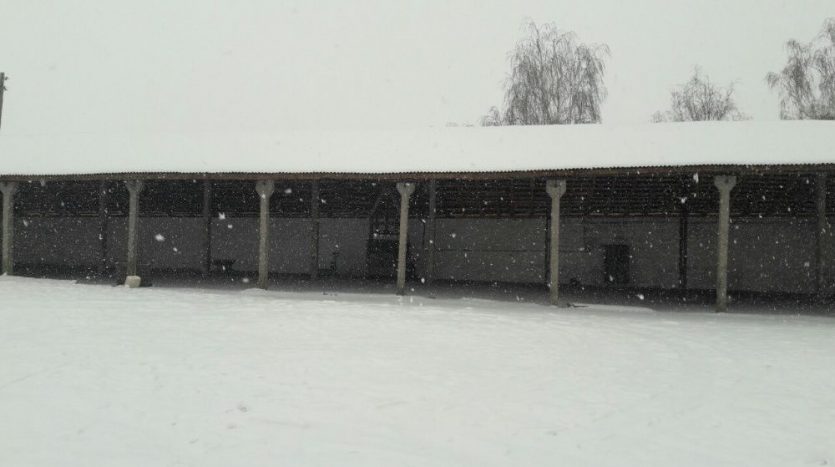 Rent - Dry warehouse, 500 sq.m., Lipovka - 7