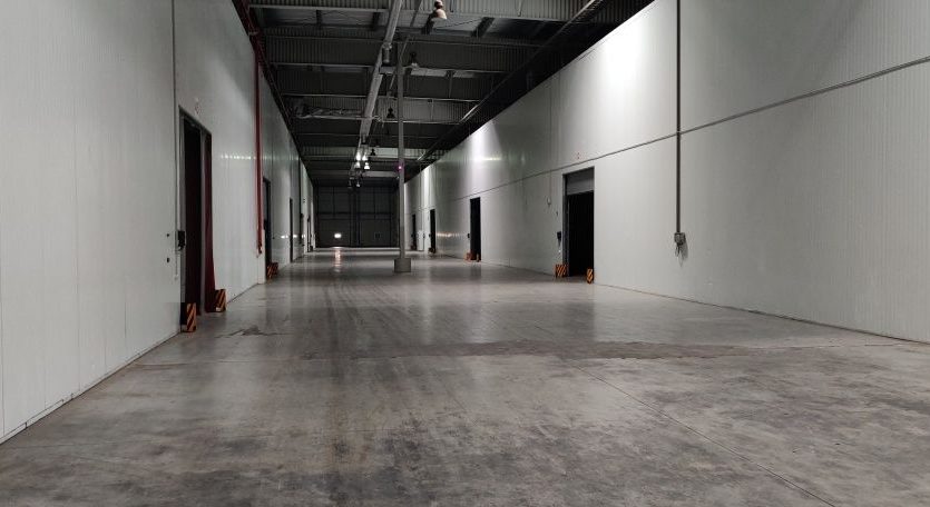 Rent - Refrigerated warehouse, 25000 sq.m., Martusovka - 5