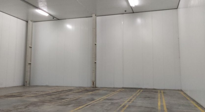 Rent - Refrigerated warehouse, 25000 sq.m., Martusovka - 7