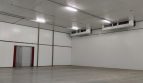 Rent - Refrigerated warehouse, 25000 sq.m., Martusovka - 11