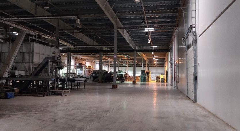 Rent - Refrigerated warehouse, 25000 sq.m., Martusovka - 13