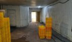 Rent - Refrigerated warehouse, 600 sq.m., Kiev - 19