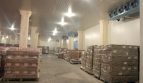 Rent - Freezer warehouse, 1200 sq.m., Lviv - 3