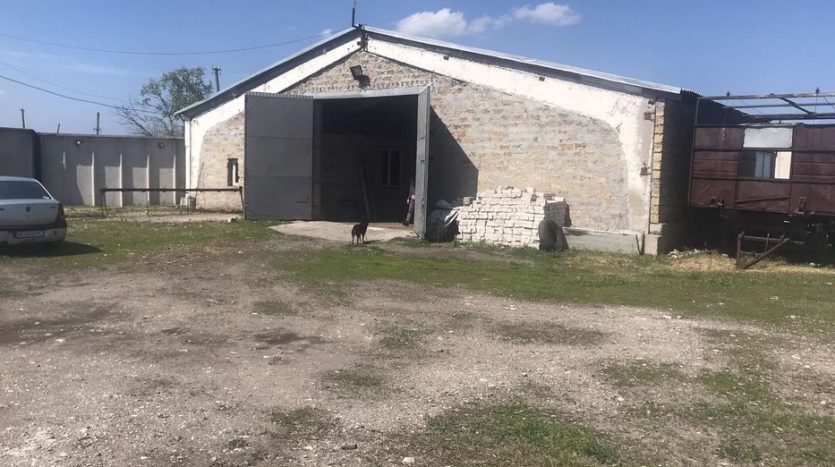 Rent - Dry warehouse, 1000 sq.m., Elizavetovka