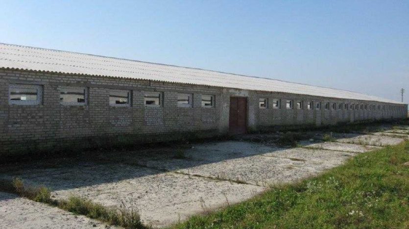 Sale - Dry warehouse, 13064 sq.m., Gorokhov - 6