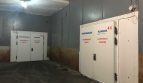 Rent - Refrigerated warehouse, 1500 sq.m., Kiev - 3