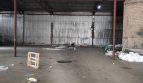 Rent - Dry warehouse, 3051 sq.m., Kiev - 14