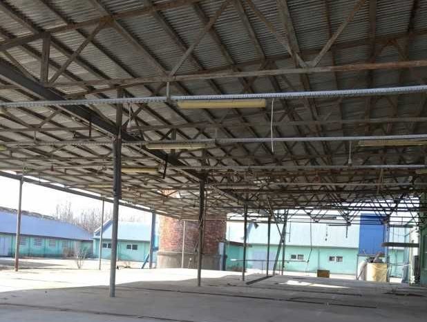 Sale - Dry warehouse, 3400 sq.m., Vinogradov - 4