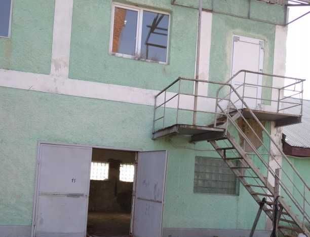 Sale - Dry warehouse, 3400 sq.m., Vinogradov - 10