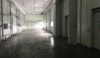 Rent - Refrigerated warehouse, 2000 sq.m., Dnipro - 5