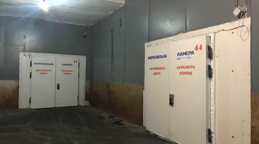 Rent - Freezer warehouse, 500 sq.m., Kiev