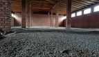 Sale - Dry warehouse, 500 sq.m., Kamyanets-Podolskiy - 4