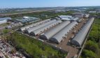 Rent - Dry warehouse, 35000 sq.m., Odessa - 1