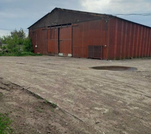 Rent - Dry warehouse, 6000 sq.m., Odessa - 6