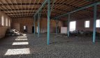 Sale - Dry warehouse, 700 sq.m., Lutsk - 5