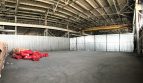 Rent - Dry warehouse, 950 sq.m., Dnipro - 2