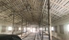 Rent - Dry warehouse, 800 sq.m., Rivne - 2