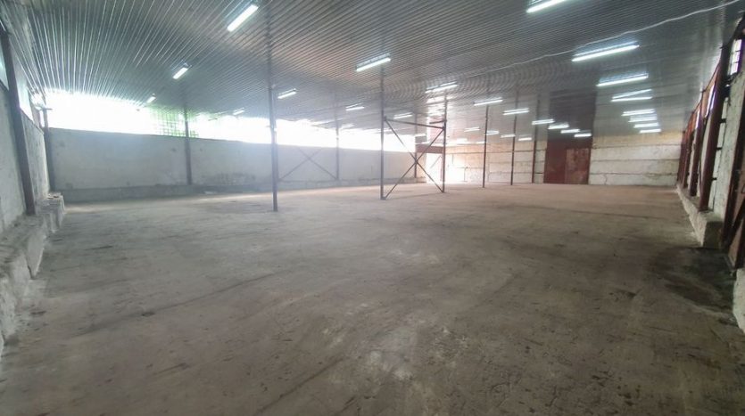 Rent - Unheated warehouse, 800 sq.m., Dibrova