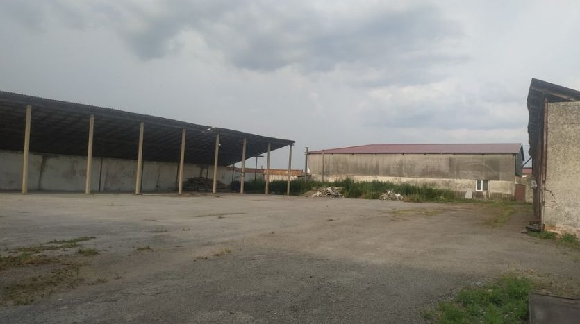 Rent - Dry warehouse, 3300 sq.m., Zborov