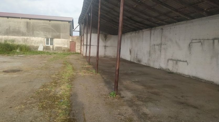 Rent - Dry warehouse, 3300 sq.m., Zborov - 3