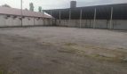 Rent - Dry warehouse, 3300 sq.m., Zborov - 4