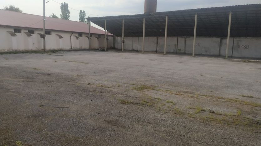 Rent - Dry warehouse, 3300 sq.m., Zborov - 4