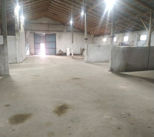 Rent - Dry warehouse, 3300 sq.m., Zborov - 6