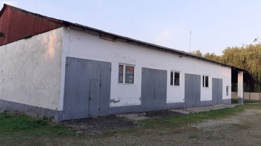 Sale - Dry warehouse, 500 sq.m., Khotin - 4